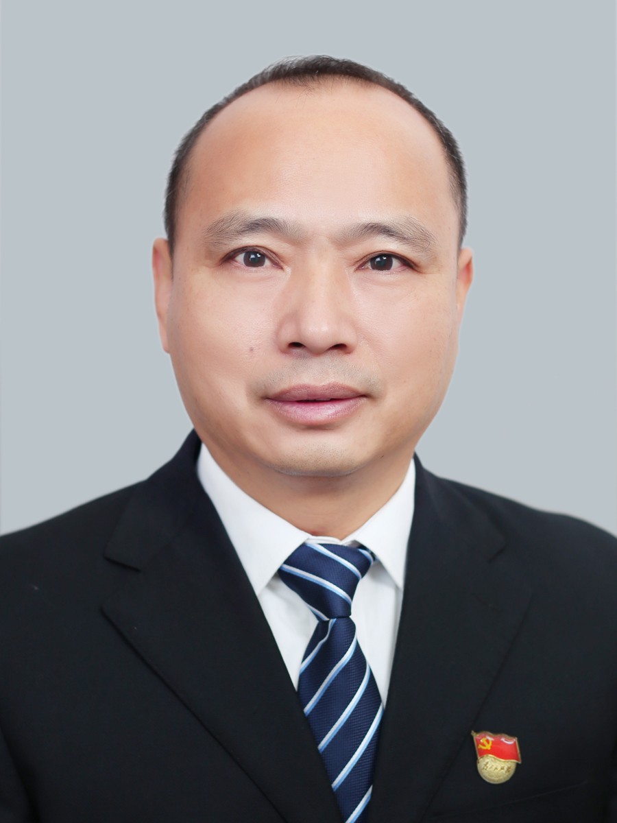 党委副书记、院长 李小保