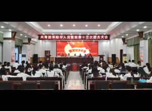 共青团耒阳市人民医院第十三次团员大会胜利召开