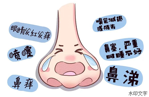 096b3ea8e9b24de7873c0128713a993d.png