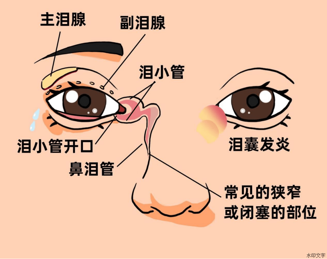 cef52aef10204f1ba0f7d50ada625c52.png